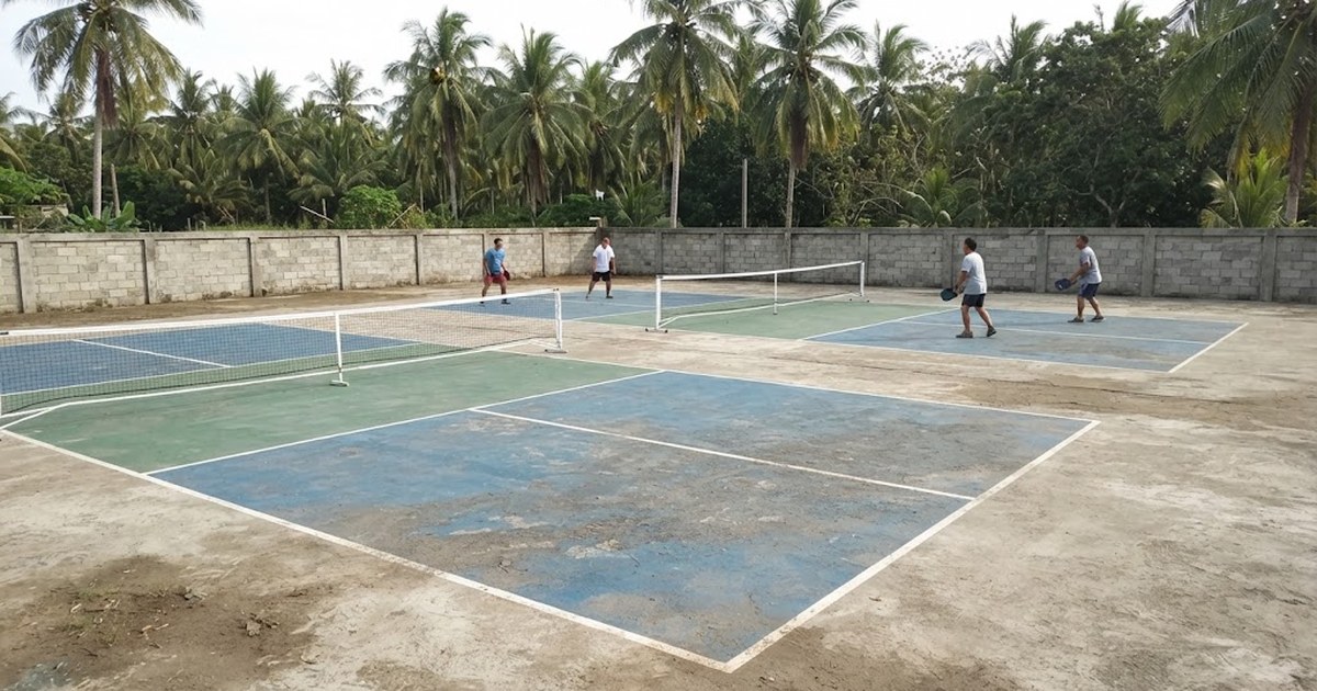 Aerial view of four pickleball courts laid out in a block on a tropical Philippine lot